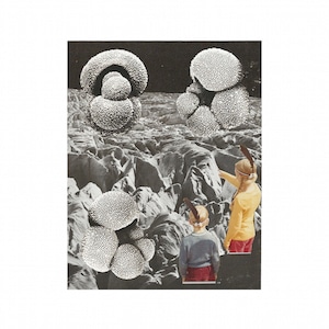 Mix